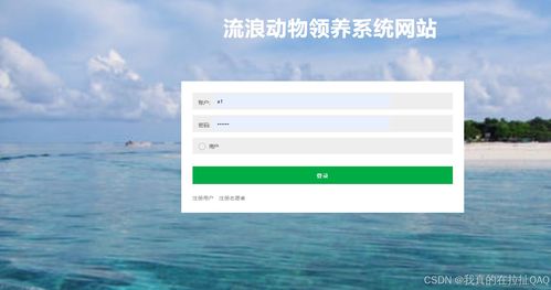 关爱与探索 流浪动物领养系统网站与旅游开发项目的数字化创新实践